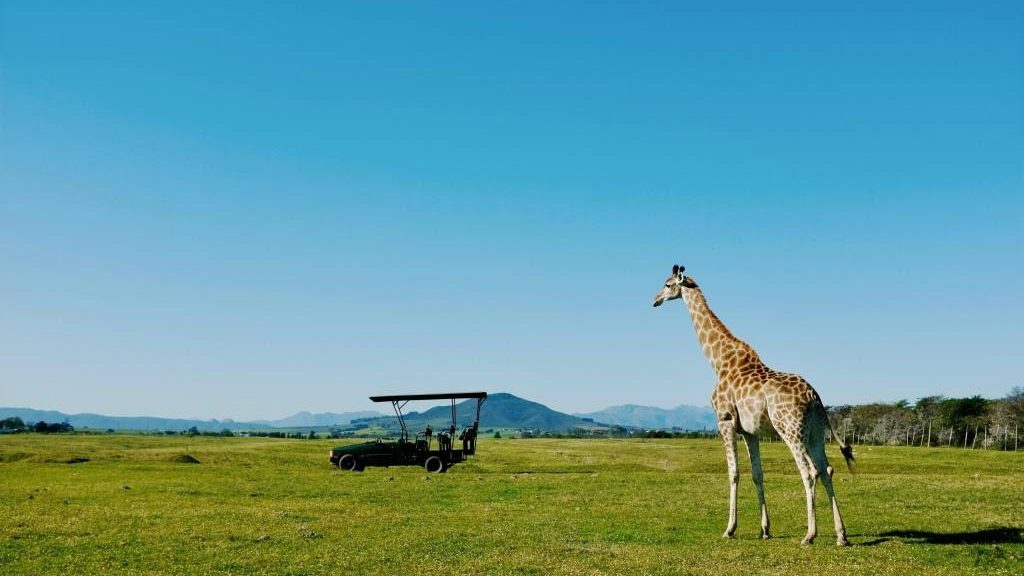 Voyage kenya tanzanie : quand partir, quel budget et comment bien préparer son séjour