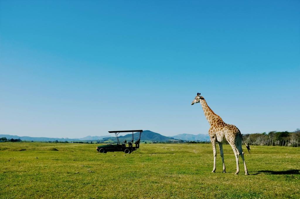 Voyage kenya tanzanie : quand partir, quel budget et comment bien préparer son séjour